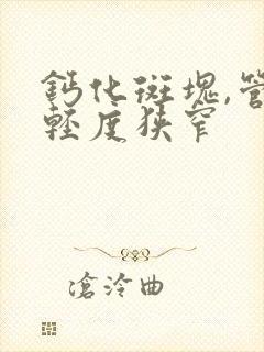 钙化斑块,管腔轻度狭窄