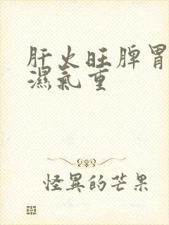 肝火旺脾胃虚弱湿气重