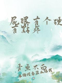 屁眼有个硬疙瘩有点疼