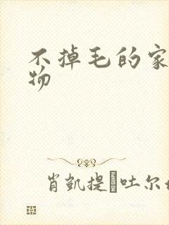 不掉毛的家养宠物