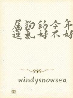 属狗的今年打牌运气好不好