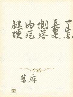 腿内侧长了一个硬疙瘩是怎么回事