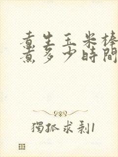 煮生玉米棒子要煮多少时间