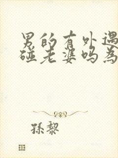 男的有外遇还会碰老婆吗为什么