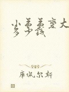 小弟弟变大手术多少钱