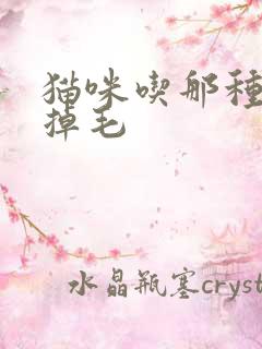 猫咪吃那种粮不掉毛