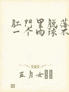 肛门里脱落出来一个肉球不痛不痒