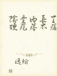 阴囊内长了一个硬疙瘩不痛不痒