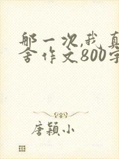 那一次,我真不舍作文800字