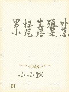 男性生殖外皮有小疙瘩是怎么回事图片