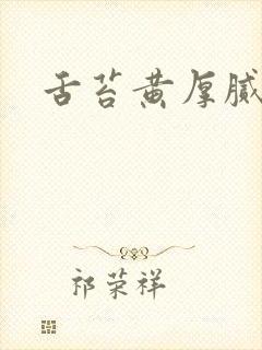 舌苔黄厚腻痰多