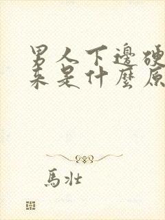 男人下边硬不起来是什么原因