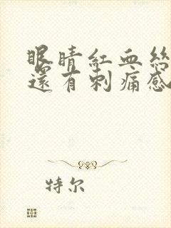 眼睛红血丝很多还有刺痛感是怎么回事