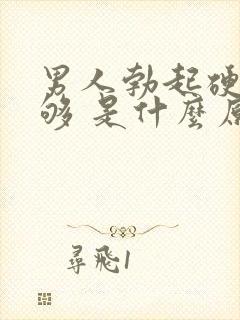 男人勃起硬度不够 是什么原因