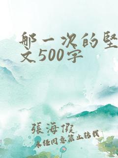那一次的坚持作文500字