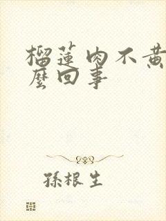 榴莲肉不黄是怎么回事