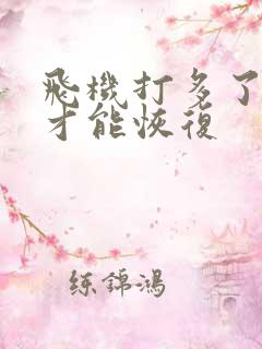 飞机打多了怎么才能恢复