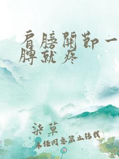 肩膀关节一抬胳膊就疼