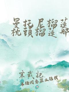 曼托尼榴莲和金枕头榴莲哪个好吃