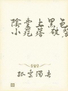 阴囊上黑色凸起小疙瘩 破裂出血