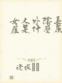 女人外阴长小痘痘是什么原因