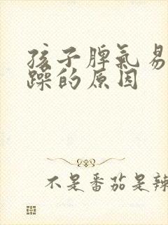 孩子脾气易怒暴躁的原因