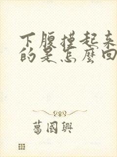 下腹摸起来硬硬的是怎么回事