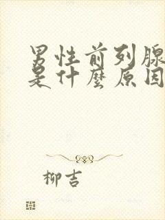 男性前列腺肥大是什么原因引起的