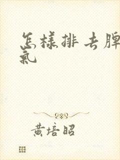 怎样排去脾胃湿气