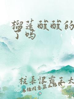 榴莲酸酸的是坏了吗