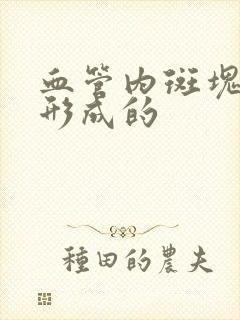 血管内斑块怎样形成的