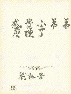 感觉小弟弟不怎么硬了