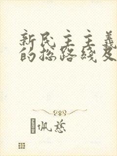 新民主主义革命的总路线及其主要内容