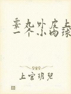 睾丸外皮上长了一个小肉球硬硬的