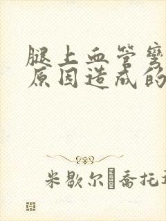 腿上血管弯曲的原因造成的