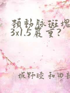 颈动脉斑块9.3x1.5严重?