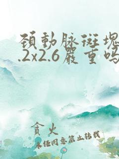 颈动脉斑块10.2x2.6严重吗