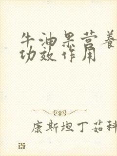 牛油果营养价值功效作用