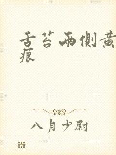 舌苔两侧黄有齿痕