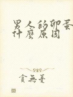 男人的卵蛋胀疼什么原因