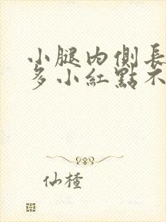 小腿内侧长了好多小红点不痛不痒