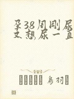 孕38周刚尿完又想尿一直尿