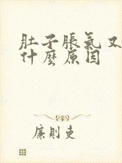 肚子胀气又反胃什么原因