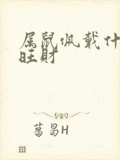 属鼠佩戴什么最旺财