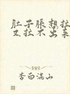 肚子胀想拉大便又拉不出来怎么办