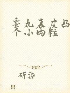 睾丸表皮凸起一个小肉粒