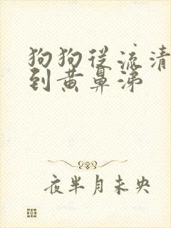 狗狗从流清鼻涕到黄鼻涕