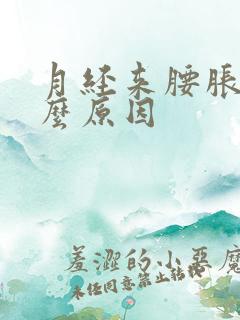 月经来腰胀痛什么原因