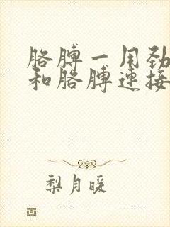 胳膊一用劲肩膀和胳膊连接处就疼