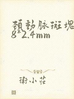 颈动脉斑块6.8*2.4mm